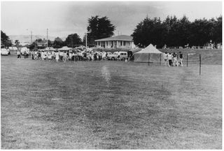 Picnic in the Whitford War Memorial Domain